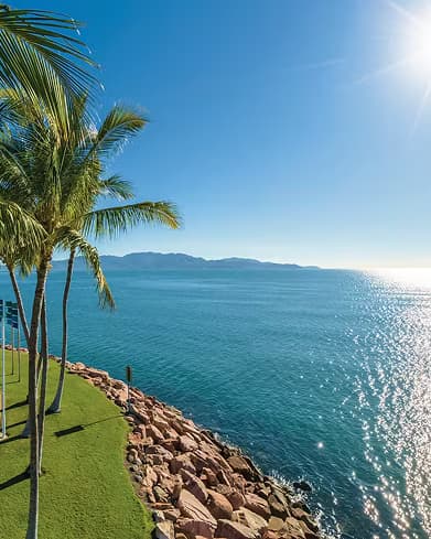 Waterfront rock wall and palm trees along the Townsville coastline