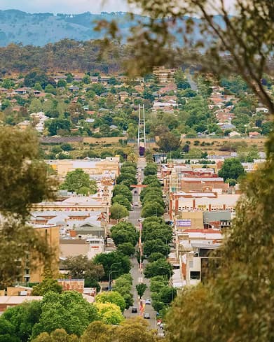 Tree-lined main street view of Wodonga's town centre