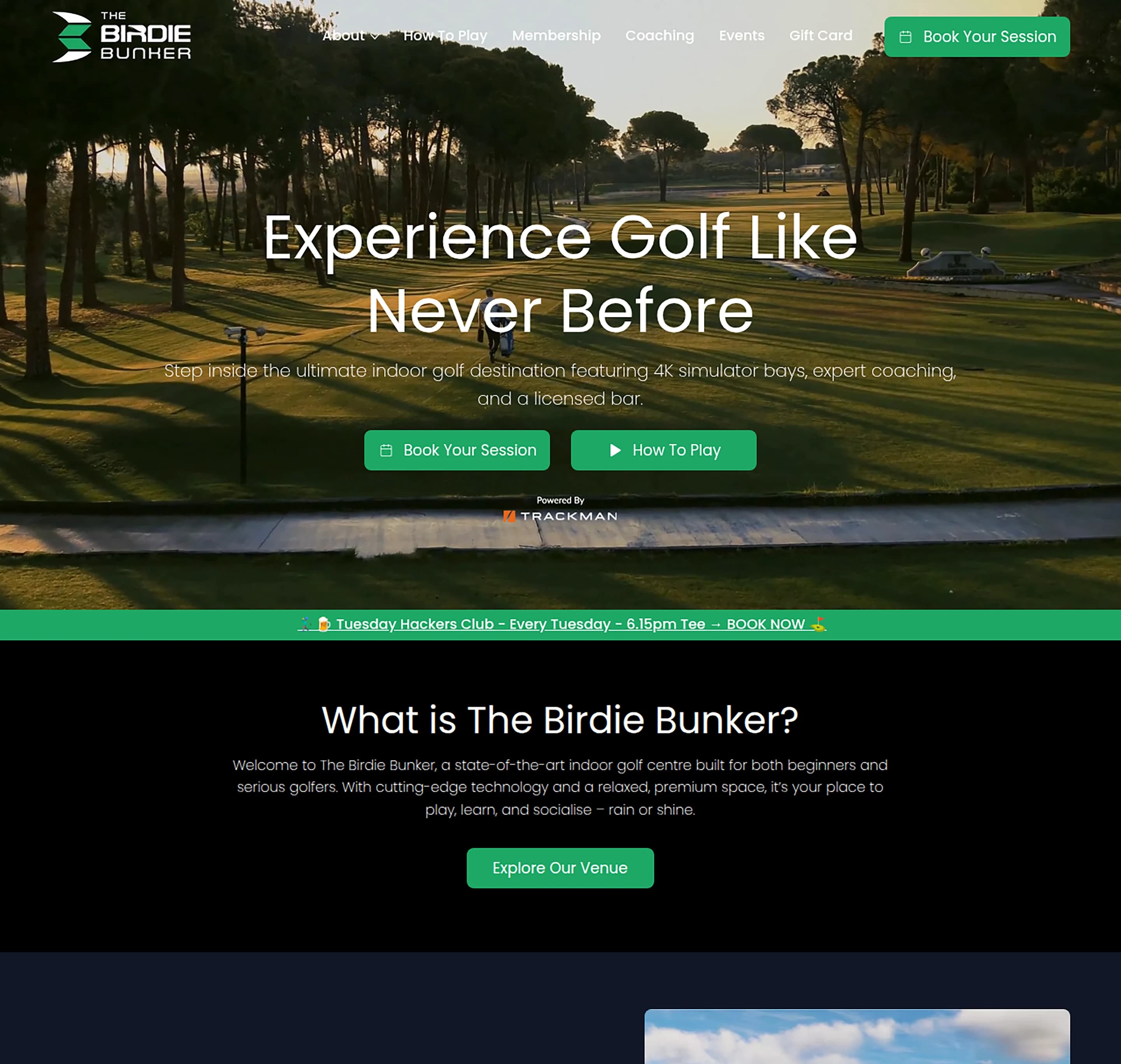 Entertainment Venue website design for The Birdie Bunker