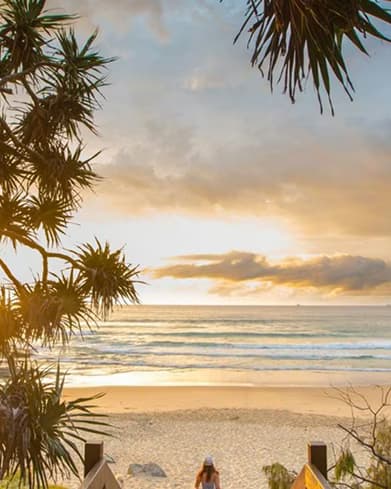 Sunshine Coast beach at sunset framed by palm trees